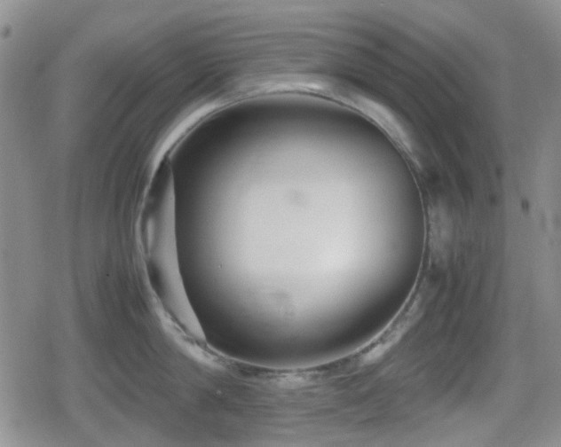 X0000080710814200612151132