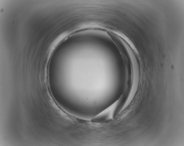 X0000080710815200612151132