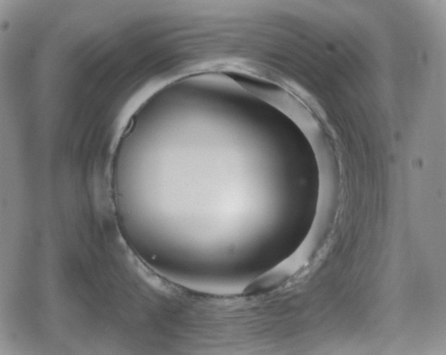 X0000080710816200612151132