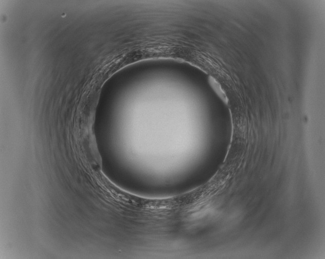 X0000080710817200612151131