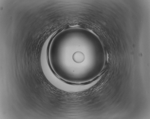 X0000080710818200612151131