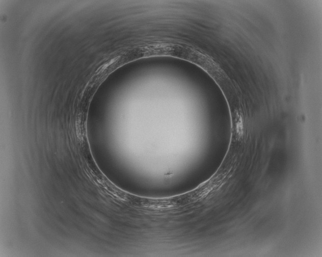 X0000080710819200612151131