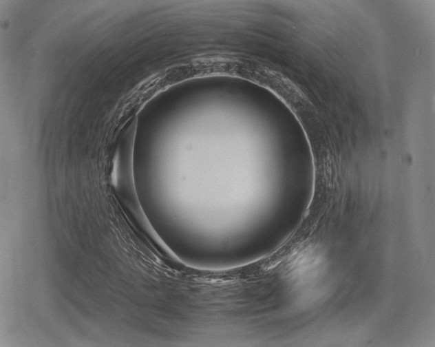 X0000080710821200612151131