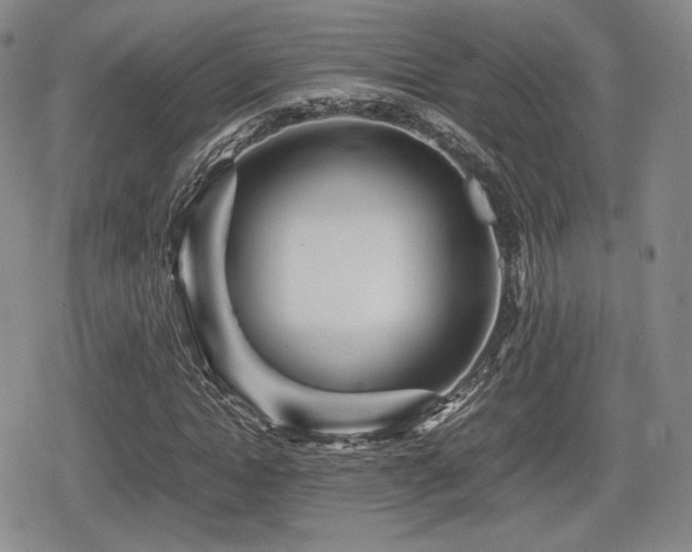 X0000080710822200612151131