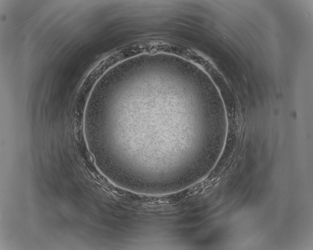 X0000080710823200612151131