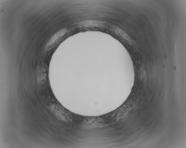 X0000080710824200612151131