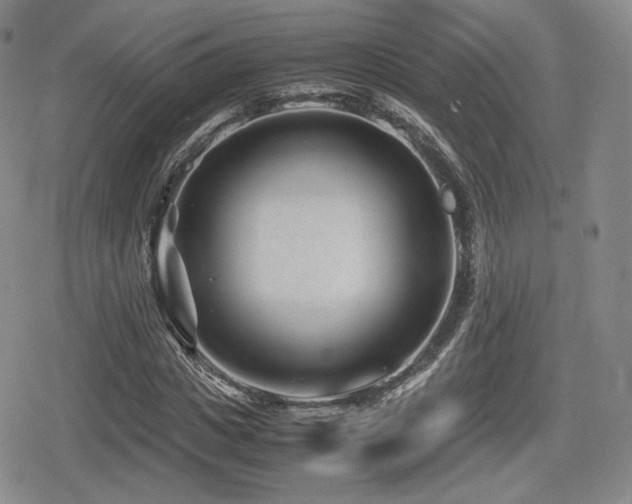 X0000080710825200612151131