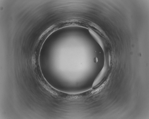 X0000080710826200612151131