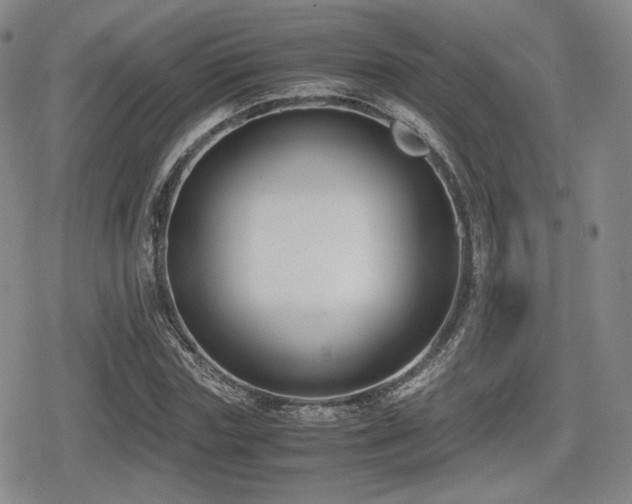 X0000080710827200612151131