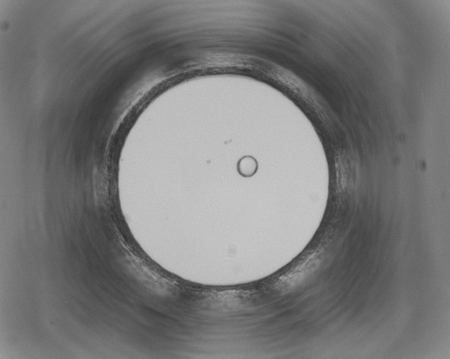 X0000080710828200612151131