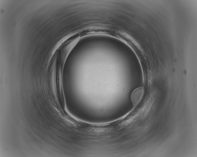 X0000080710829200612151131