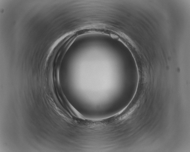 X0000080710830200612151131