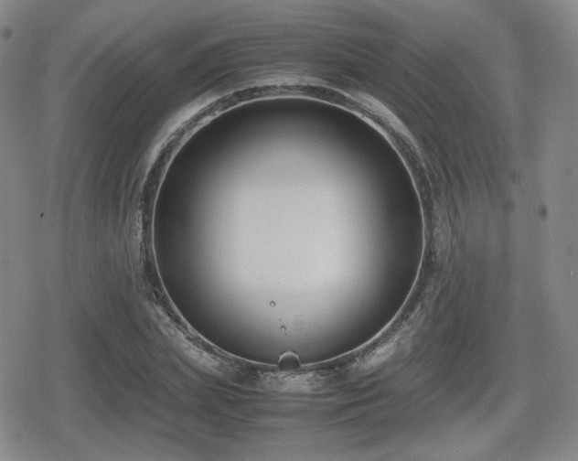 X0000080710831200612151132