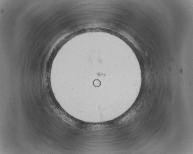 X0000080710832200612151132