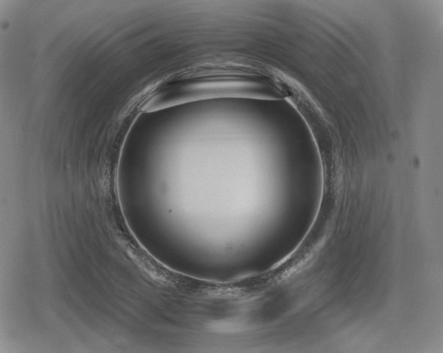 X0000080710833200612151132