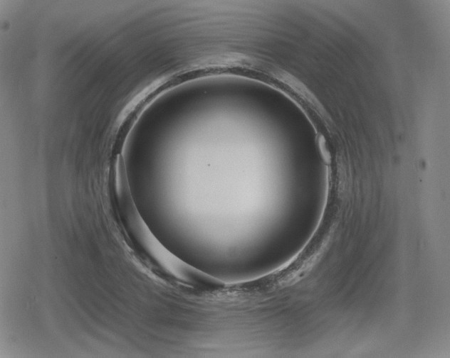 X0000080710834200612151132