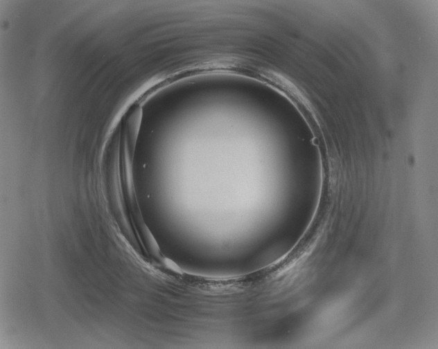 X0000080710835200612151132