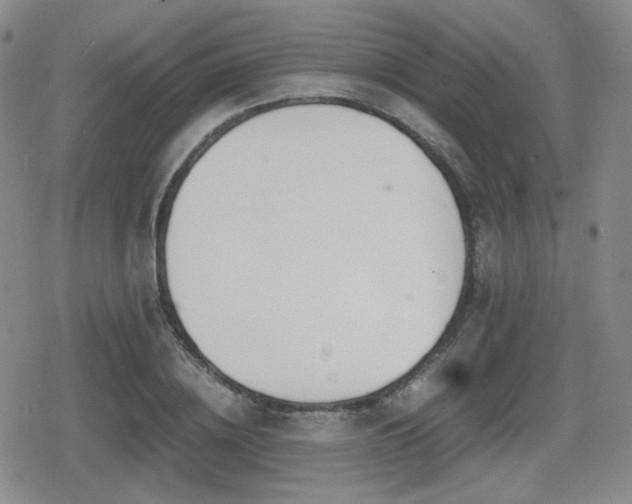 X0000080710836200612151132