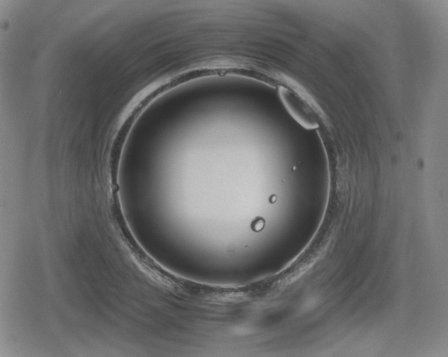 X0000080710837200612151132