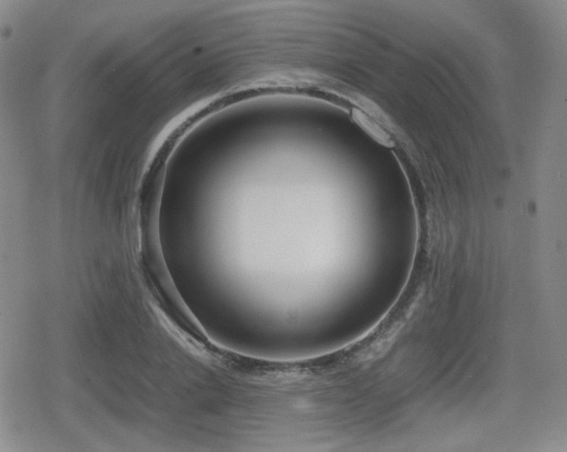 X0000080710838200612151132