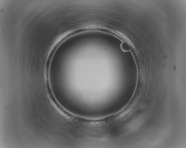 X0000080710839200612151132