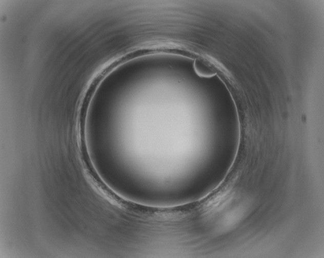 X0000080710840200612151132