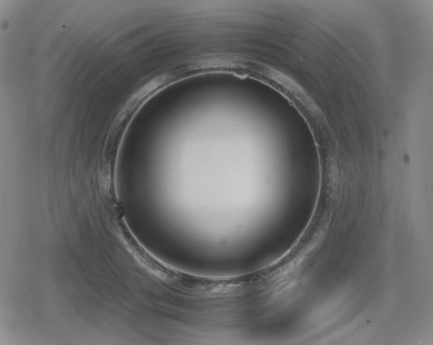 X0000080710841200612151132