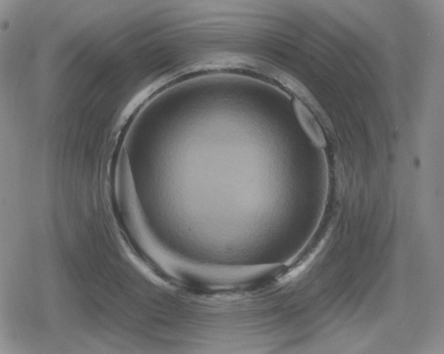 X0000080710842200612151132