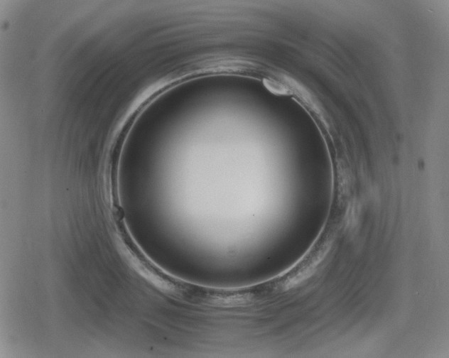 X0000080710843200612151132