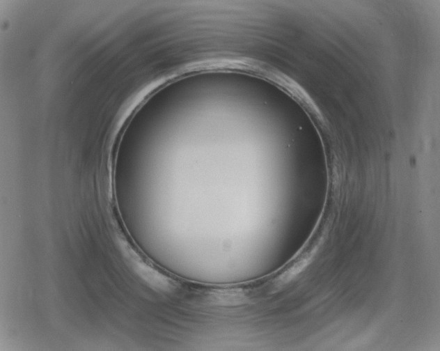 X0000080710844200612151132