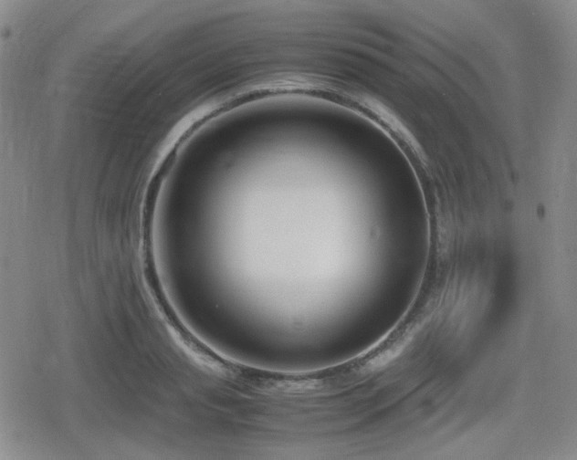 X0000080710845200612151132