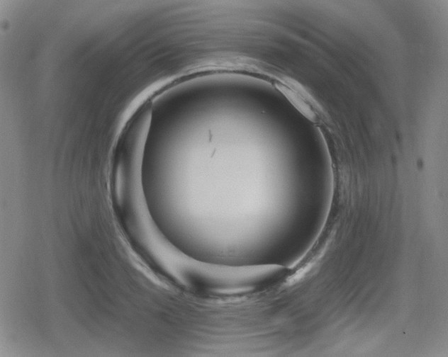 X0000080710846200612151132