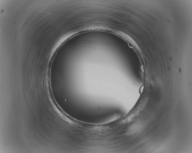 X0000080710847200612151132