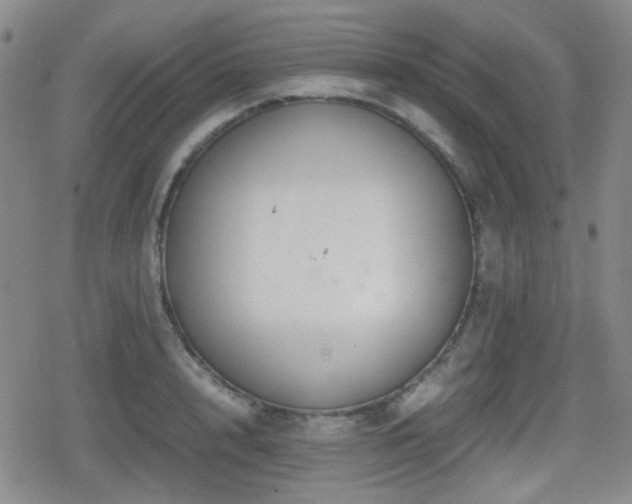 X0000080710848200612151132