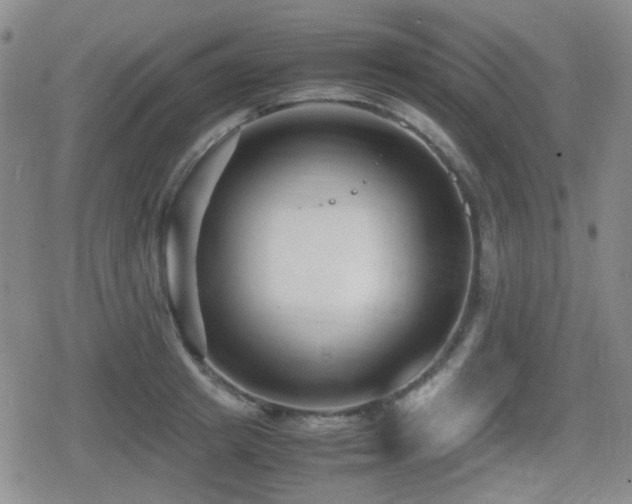 X0000080710849200612151132