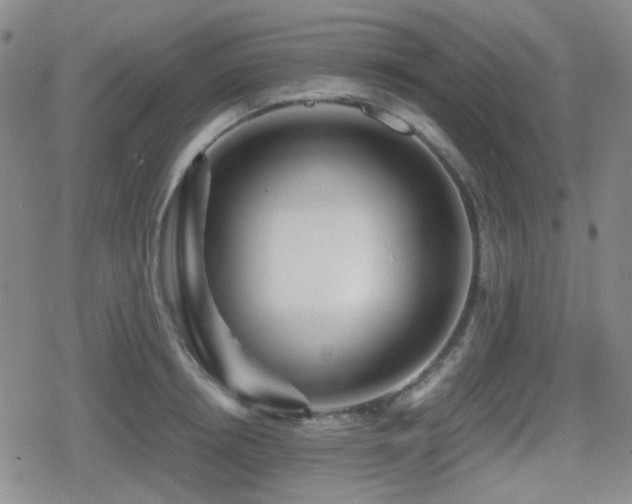 X0000080710850200612151132