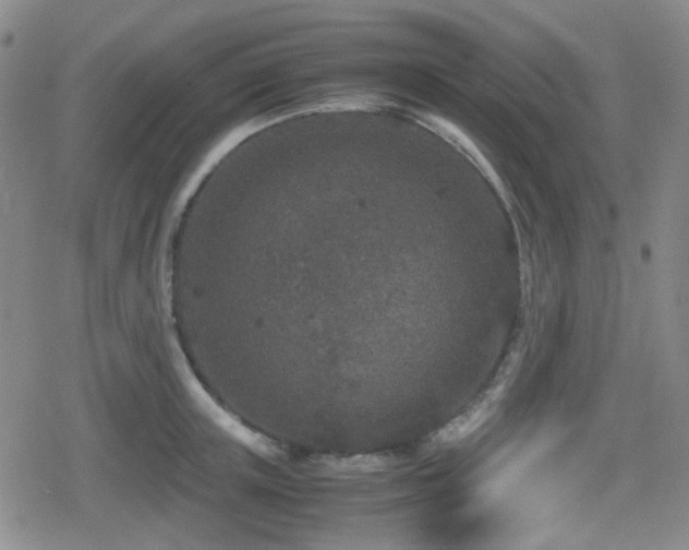 X0000080710851200612151132