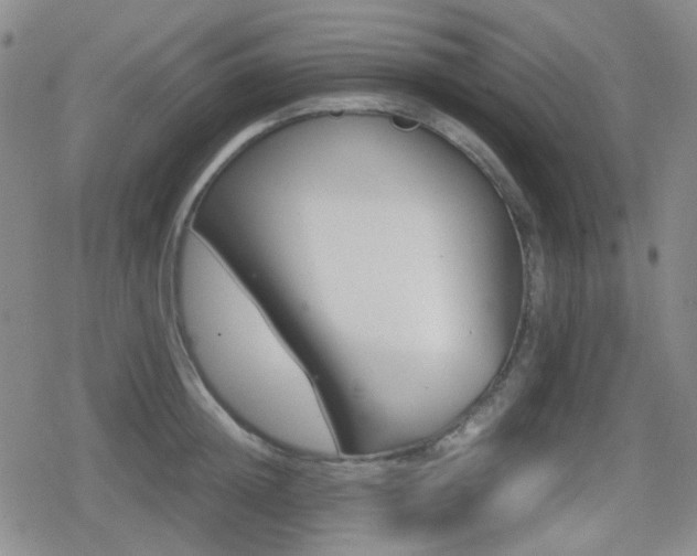 X0000080710852200612151132