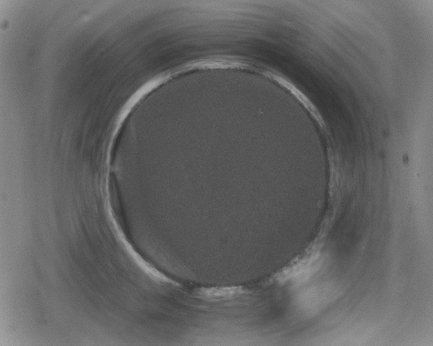 X0000080710853200612151132