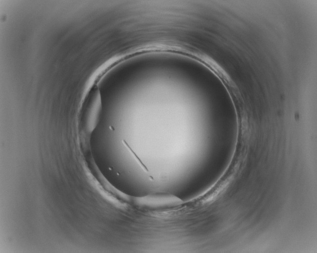 X0000080710854200612151132