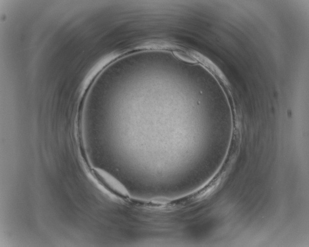 X0000080710855200612151132