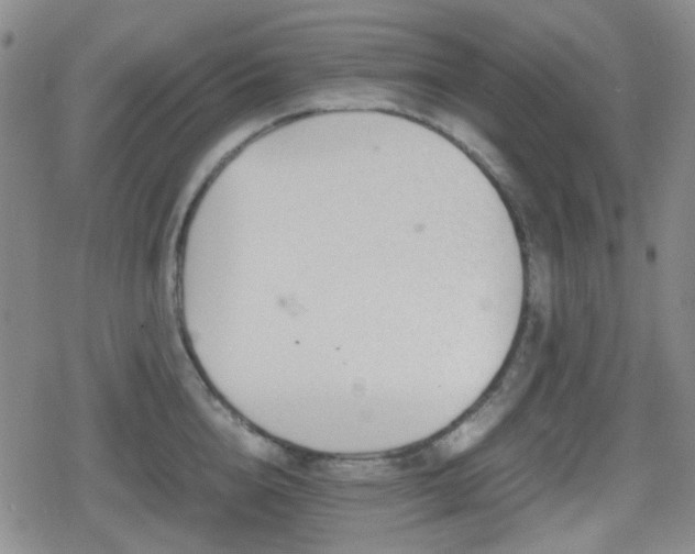 X0000080710856200612151132