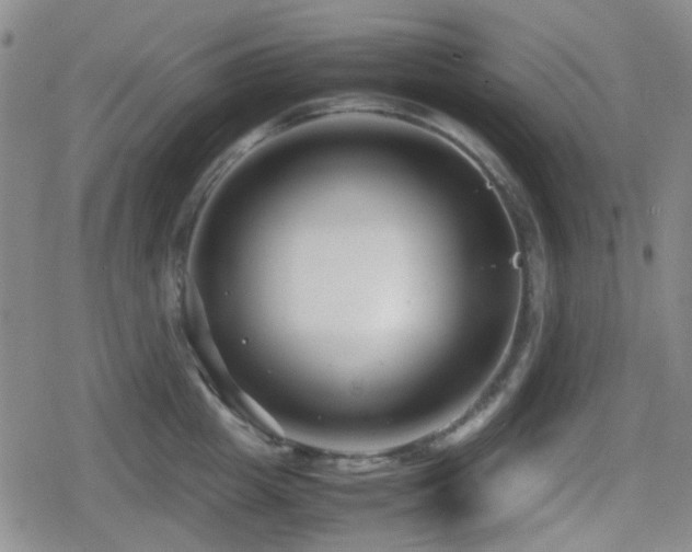 X0000080710857200612151132