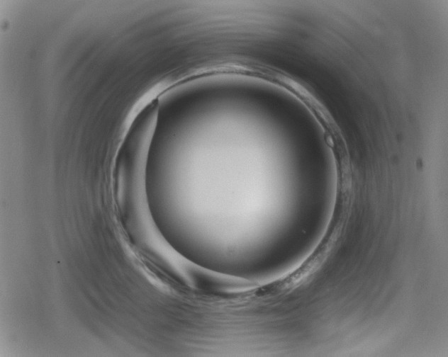 X0000080710858200612151132