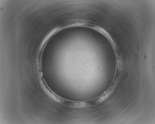 X0000080710859200612151132