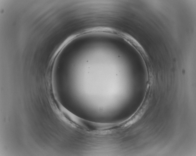 X0000080710860200612151132