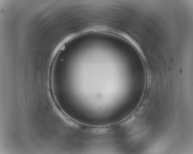 X0000080710861200612151132