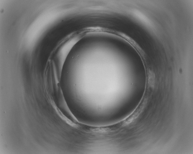 X0000080710862200612151132