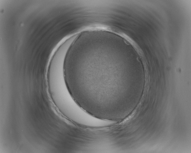 X0000080710864200612151132