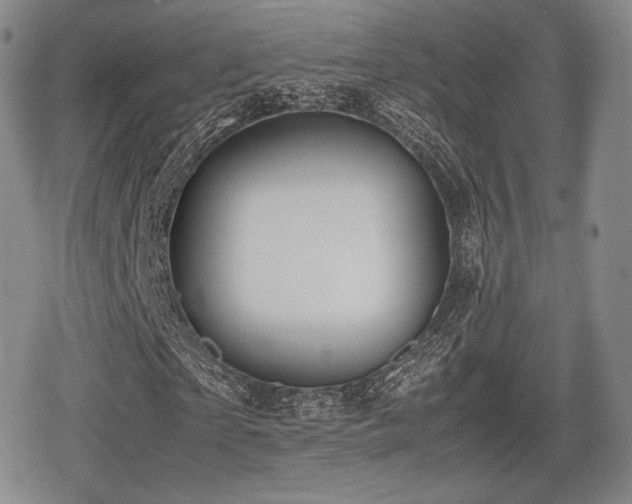 X0000080710865200612151131